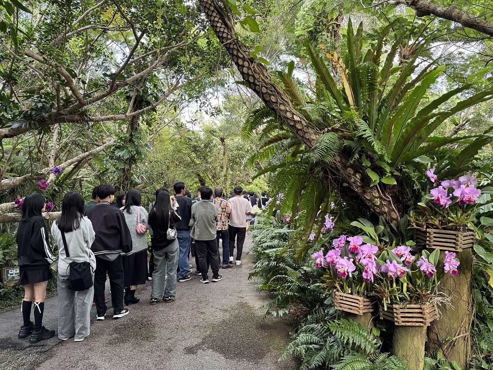 琉球村⑥